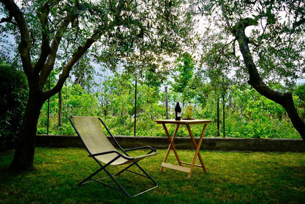 Lake & Rest Riva del Garda Exterior photo